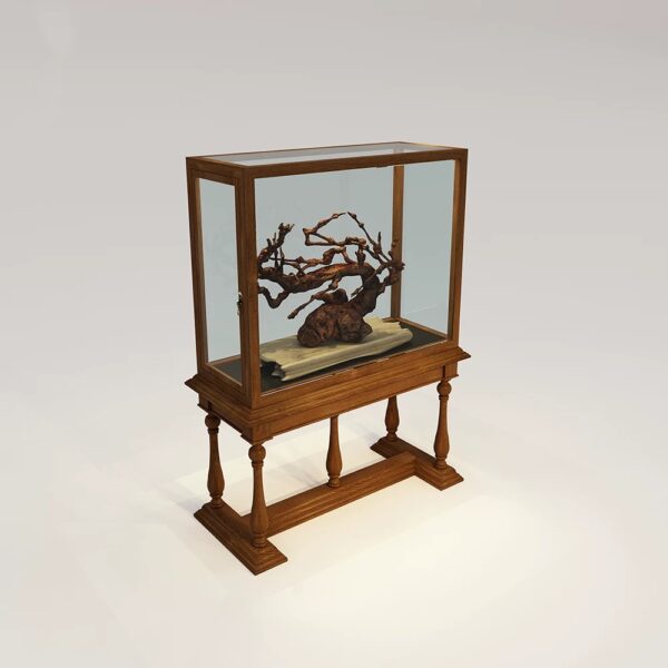 display cabinet (22) jewelry display case