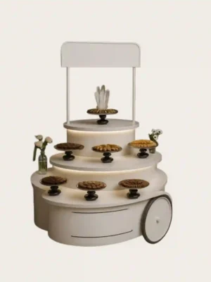 custom display cabinet (21) custom display cart