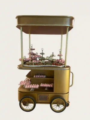custom display cabinet (23) custom display cart