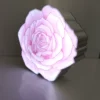 Stainless steel luminous logo - flower shape - customizable