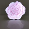 Stainless steel luminous logo - flower shape - customizable