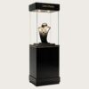 jewelry display showcase