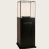 museum display cabinet (8) Tall black display pedestal with slim thin black frame clear glass cube cover Lexio Display for sculpture bust and artwork exhibition