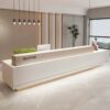 reception desk (2) Isolated product shot of custom white reception counter with wood grain partition and plant shelf for commercial fitout project